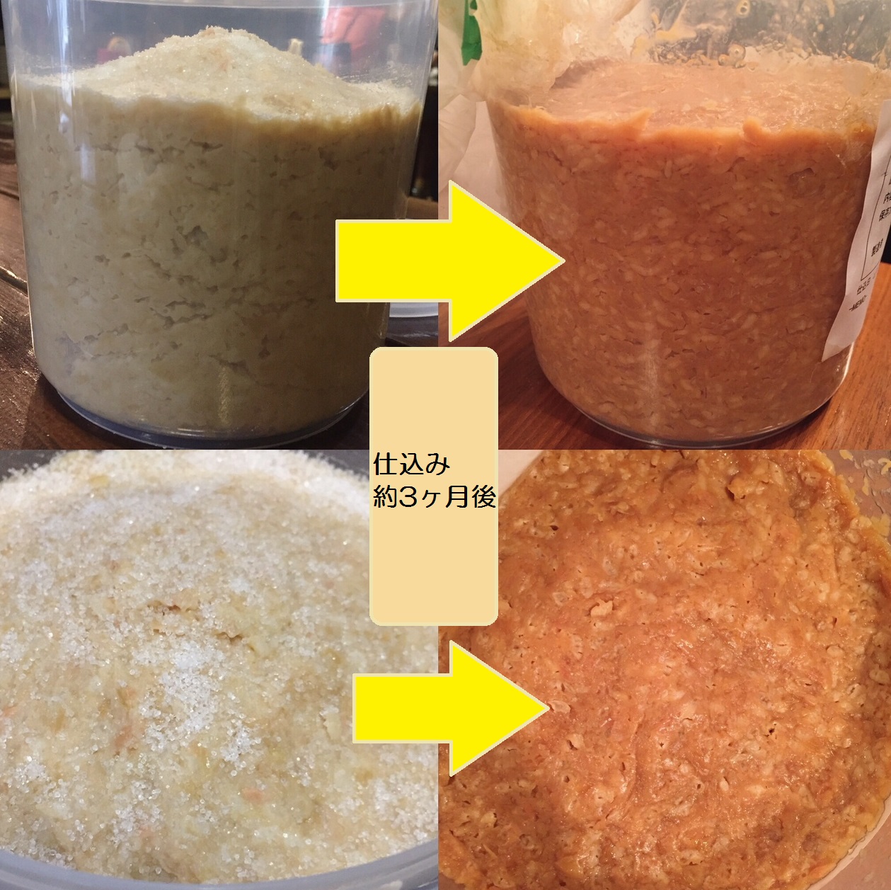miso